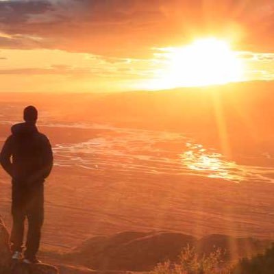 NickPea45996223's profile picture. 