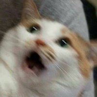 T3cKy (@ky_t3c) 's Twitter Profile