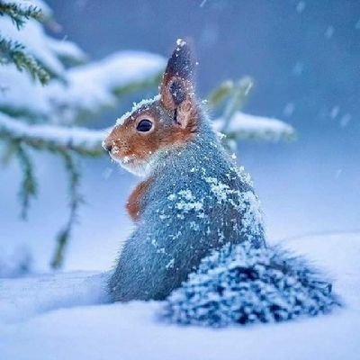 alizajon222's profile picture. SEO Expert