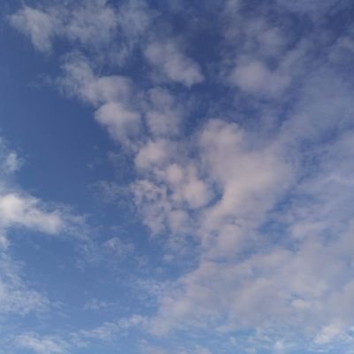 わたどうからツィート開始
人生初の推し、静かめに、永く応援したいです♡🌹
嘘喰いジャパンプレミアで初横浜流星さん
楽しさ、ドキドキ全部含めて感謝