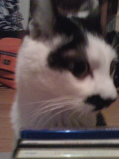 ging_bamboo's profile picture. 横浜石川町の隠れbar｀bamboo -b-c´ のおぎんだぜい   座右の銘は…side  change