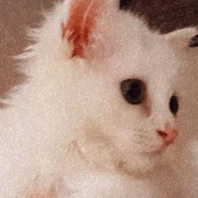 jwaaaye's profile picture. 