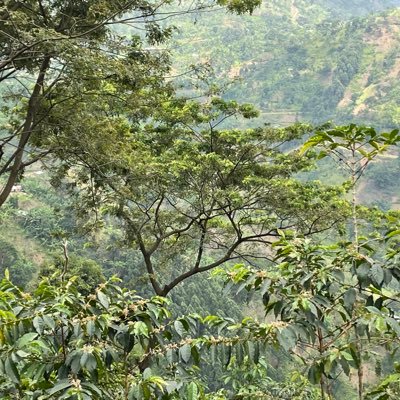 ENyatia's profile picture. Academic, Farmer, Entrepreneur and Active member in the informal sector.
Rotarian.