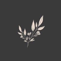 Hediye Kübra (@kubra_hediye) 's Twitter Profile