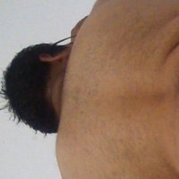 Gordo Passivo Cwb (@gordocwb) 's Twitter Profile