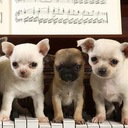 Sarah Abdullah - @sarah_shaker - Twitter