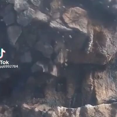 nhay_quang's profile picture. 