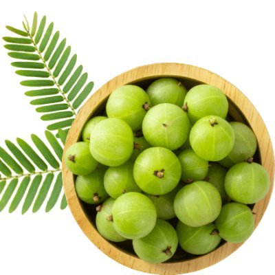 deepchandlaxmi1's profile picture. Dry and green amla supplier