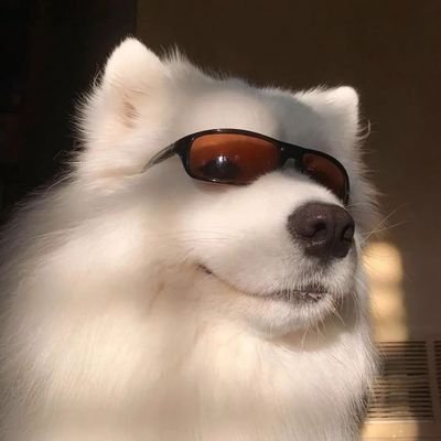 当地有名帅哥 P9xgb551gkmukor Twitter