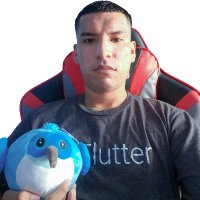 Brayan Cantos 💙 (@br_programmer) 's Twitter Profile Photo Brayan Cantos 💙 (@br_programmer) 's Twitter Profile Photo