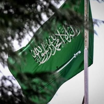 albogami_sa's profile picture. سبحان الله وبحمده سبحان الله العظيم ™