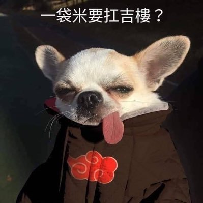 5ENtRwT5Q8od3XR's profile picture. 微混吃等死 尋找新目標的小宅 peko