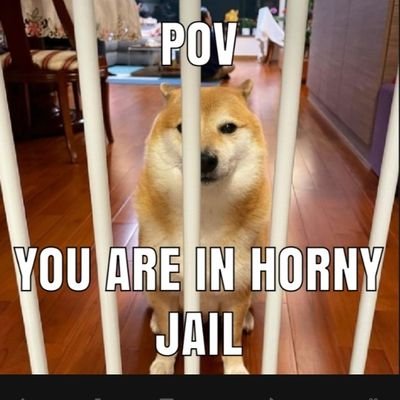 SpambotSanders's profile picture. 