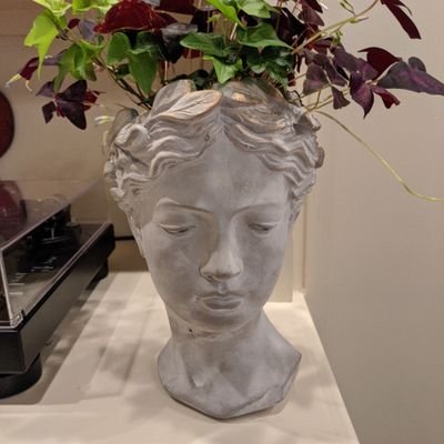 zigsnag's profile picture. 