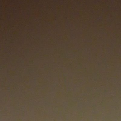 n11981490's profile picture. valar morghulis