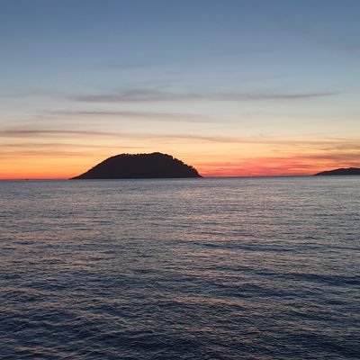 Mario8814774893's profile picture.