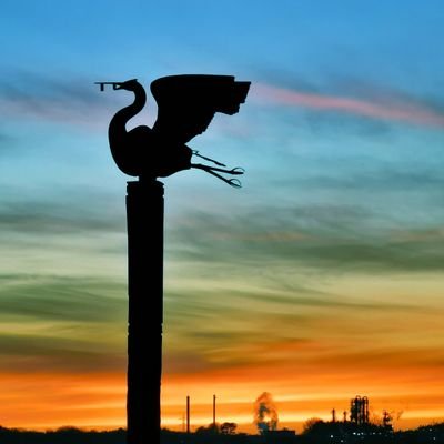 robburrow's profile picture. Aerospace, Politics & Work.