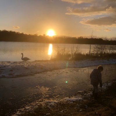 AllinsonJulie's profile picture. 