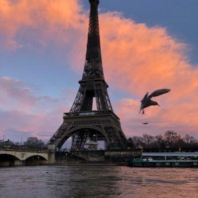 AsTech Photographie Paris Feed sur la Tour Eiffel 2021 📸🇫🇷