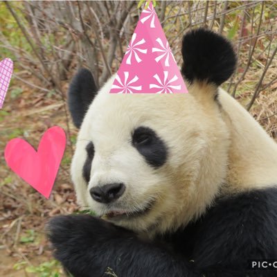 マミ 0147mami Twitter