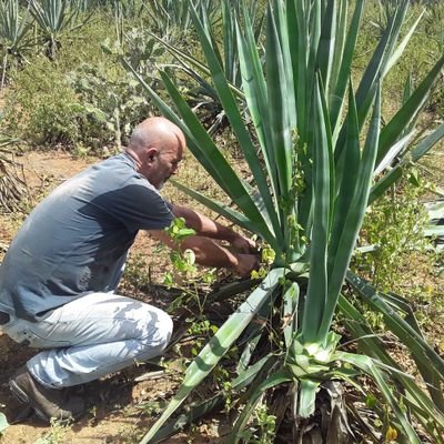 Coordinador regional,,valor agregado,a la fibra de sisal,sacos,hilo tomatero,mecates,, seguimos  avanzando.Enredados con el Sisal.Ciclista de Ruta