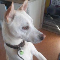 Jérôme Gauthier (@jg62170) 's Twitter Profile