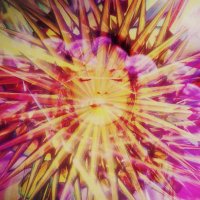 Inbue (@inbue1) 's Twitter Profile