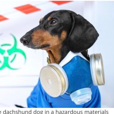 Veterinary professionals unite! 🌎 🐾
