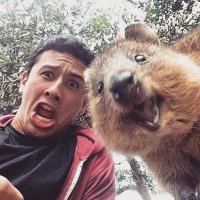 soheil (@shdm5000) 's Twitter Profile