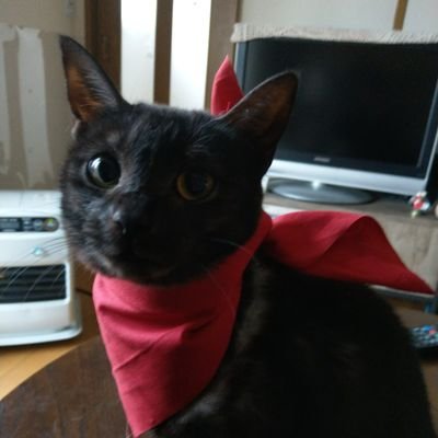 ZNUkglEdsrDHHNv's profile picture. サブ垢なのでこちらには呟きません。