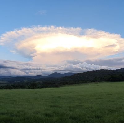 vandortaj's profile picture. 