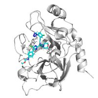 Enzyme Chemistry(@EnzymeChemistry) 's Twitter Profileg