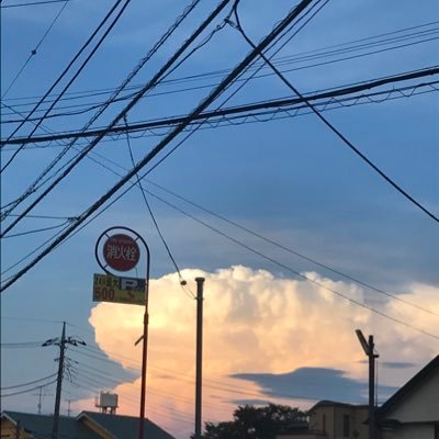 ぼくのnatuやすみさんのプロフィール画像