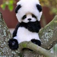 NohaNoh00335464's profile picture. noha noha