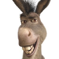 Jan37828283's profile picture. Kto nie pamięta historii skazany jest na jej ponowne przeżycie