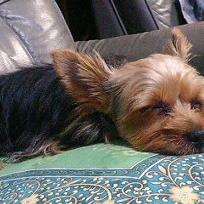 その動きは トキ Tokixx Twitter その動きは トキ Tokixx Twitter