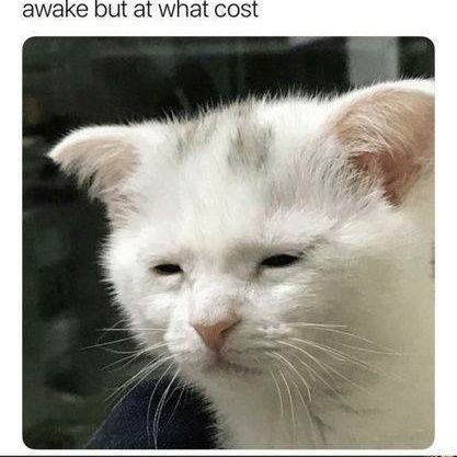 DontInvolve's profile picture. j wanna vanish into thin air 𓆝 𓆟