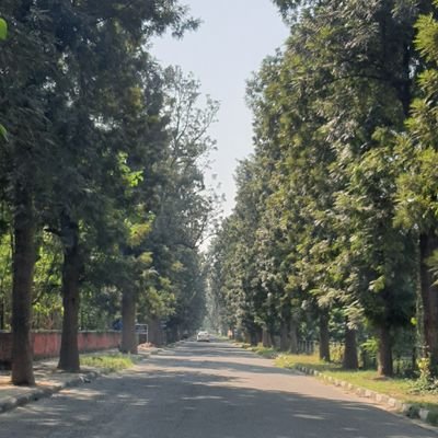 राजरानी पद्मावती