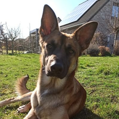 Stephrouss's profile picture. Me 😻