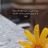 0ZFVWikgNfpPrcf's profile picture. لشخص ما أريدك أن تعتني بنفسك جيدا ❤