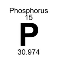 Phosphoria(@phosphoria31) 's Twitter Profileg