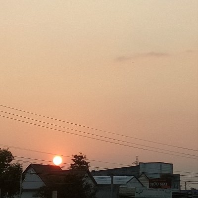 phonghm3181's profile picture. Người dùng nội bộ