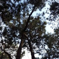 Ademin Dibi (@ademin_dibi) Twitter profile photo