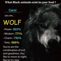 Carol Liubicich (@cliubicich) 's Twitter Profile