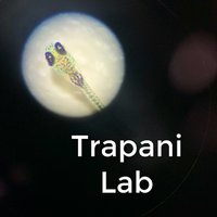 Josef Trapani (@trapanilab) 's Twitter Profile