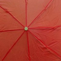 @Gaelia 🇺🇦📻 📙 🇪🇺 (@gaeliadeideas) 's Twitter Profile Photo