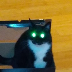 techseeker7's profile picture. 