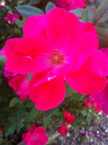 LilBitMoreofMe's profile picture. Living every day to the fullest.  Loving my life.