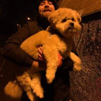 Anthony (@amtasound) Twitter profile photo
