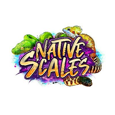 NativeScales's profile picture. 